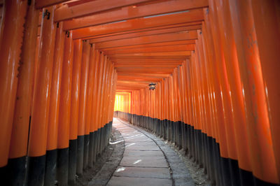 Torii gates at fushimi inari shrine