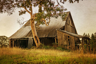 Old barn on field against sky