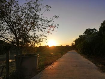 Footpath amidst trees against sky during sunset