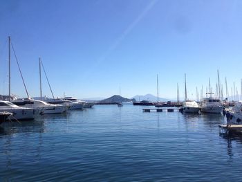 Sailboats moored in harbor