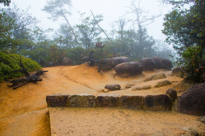 Scenic view of rocks by trees against sky
