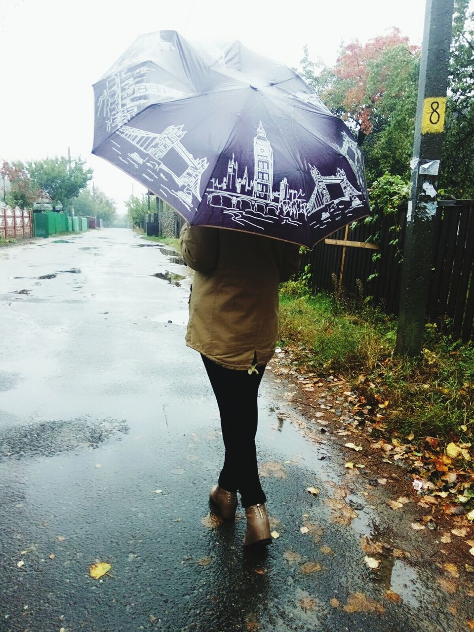 umbrella, rear view, season, rain, road, lifestyles, wet, protection, holding, street, standing, person, leisure activity, full length, walking, casual clothing, weather, leaf, rainy, the way forward, water, long hair, footpath, day, outdoors, pedestrian walkway