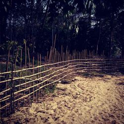 Fence on field against trees in forest