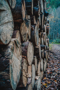 Close-up of logs