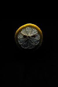 Close-up of lemon slice against black background