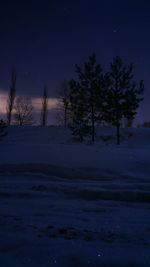 Silhouette trees on snow covered landscape at night