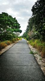 Empty road along trees