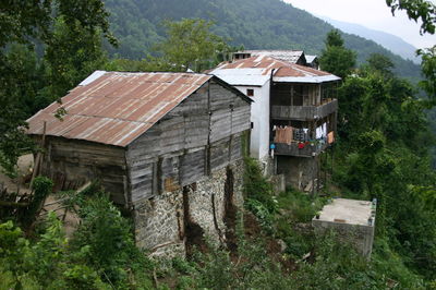 Houses by trees in forest