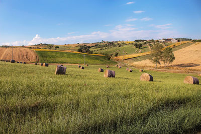 Hay bales on field against sky