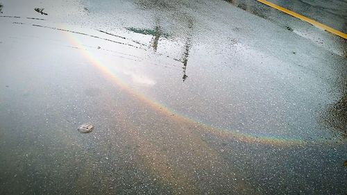 Reflection of trees in puddle