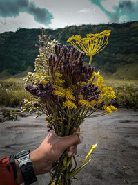 Cropped hand holding yellow flowering plant