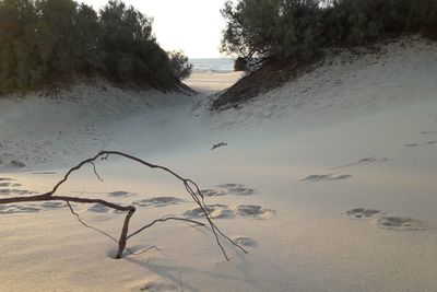 Scenic view of beach