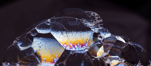 Close-up of soap bubbles 