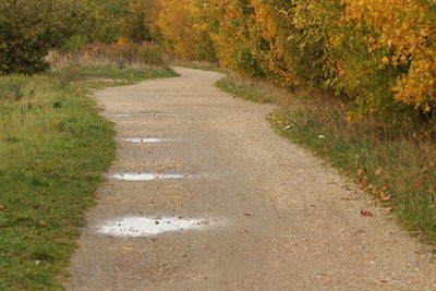 Road passing through field