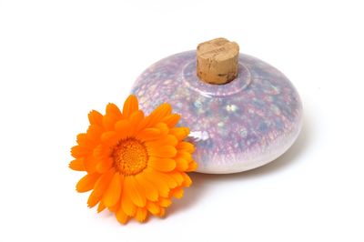 Close-up of orange flower against white background