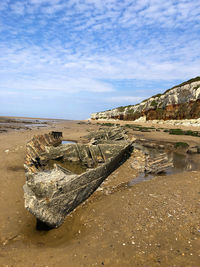 Scenic view of driftwood on beach against sky