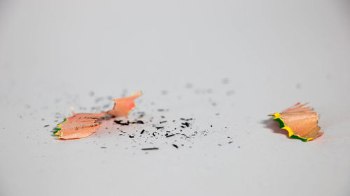 Close-up of colored pencils against white background