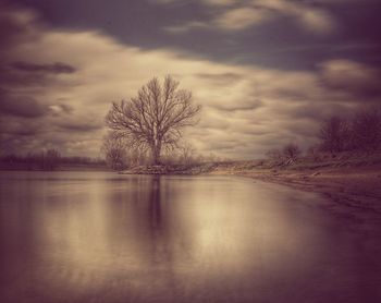 Bare trees on landscape against cloudy sky