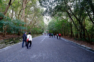 Rear view of man walking on footpath in forest