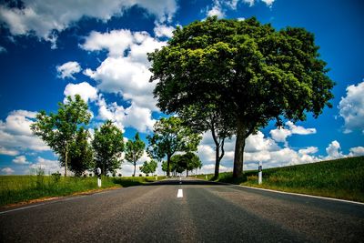 Empty road amidst trees on field against sky