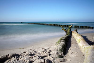 Scenic view of sea against clear sky