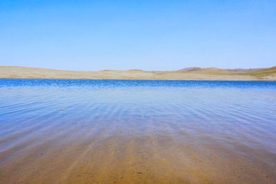 Scenic view of beach against clear blue sky
