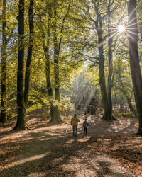 Rear view of people walking on road amidst trees in forest