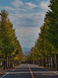 Empty road along trees and plants in city