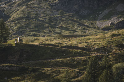 High angle view of landscape