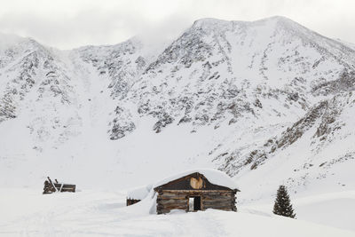 Log cabin ruins of boston mine, mayflower gulch, colorado