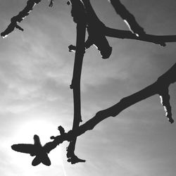 Low angle view of cloudy sky