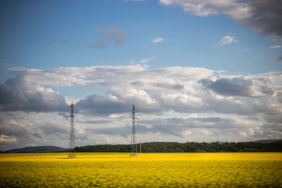 Scenic view of field against sky