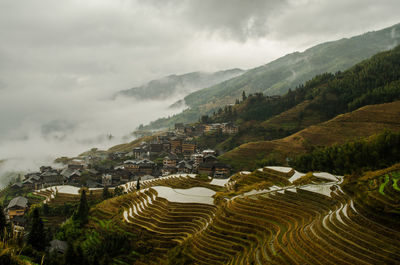 Scenic view of rice paddy against sky