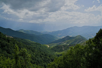 environment