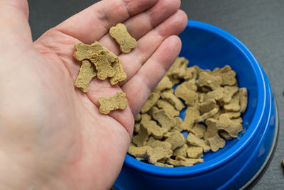 Cropped hand holding dog food in bowl