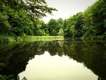 Reflection of trees in lake against sky