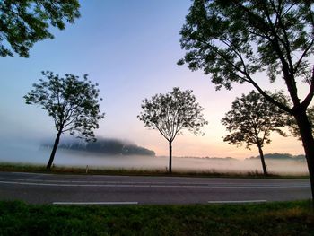 Trees on field against sky during sunset