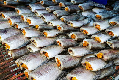 High angle view of fish for sale