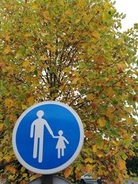 Close-up of road sign against trees