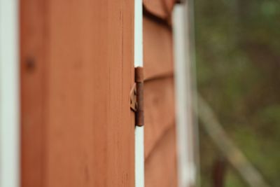 Close-up of door