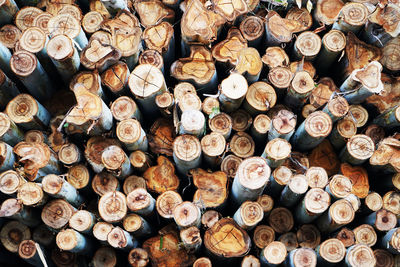 Full frame shot of logs in forest