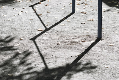 Shadow of tree on the wall