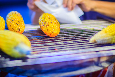 Close-up of person preparing food on barbecue grill
