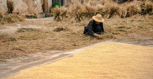 Man working on farm