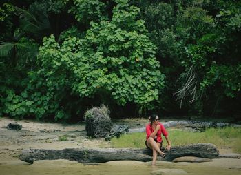 Woman sitting on rock by tree in forest
