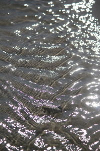 Close-up of water