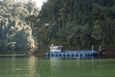 Scenic view of river in forest