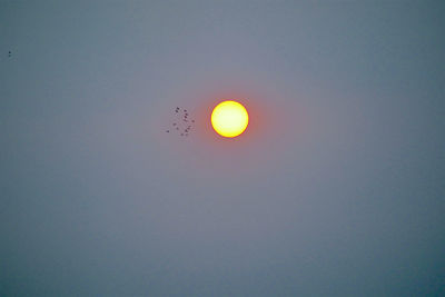 Low angle view of sun in sky at sunset