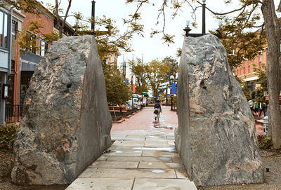 Rear view of sculpture on footpath amidst plants in city