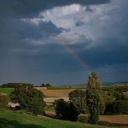 Scenic view of field against rainbow in sky